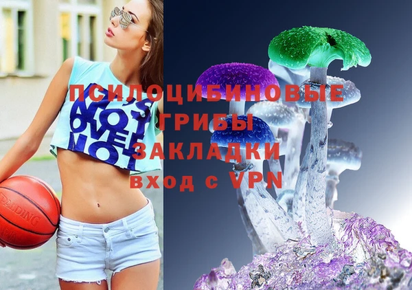 ГАЛЛЮЦИНОГЕННЫЕ ГРИБЫ Бугульма