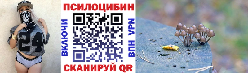 Купить  Балахна  Галлюциногенные грибы Magic Shrooms 